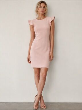 Tahari Blush Pink Sheath Dress with Ruffle Sleeves | Size 2